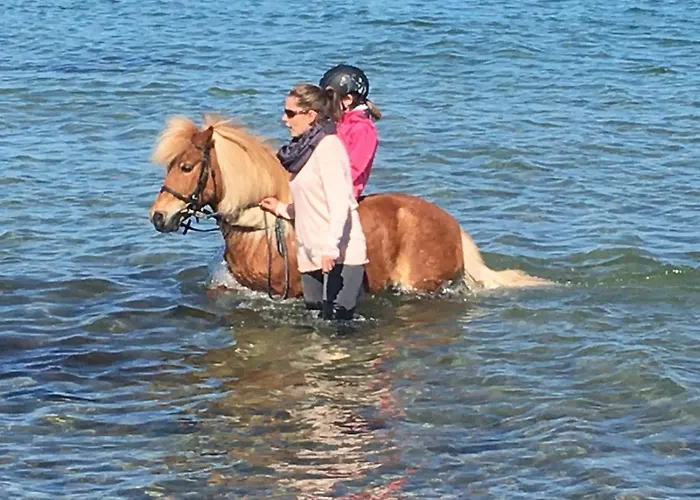Reetdachhaus 2, Inkl 2 Parkplaetze * Fehmarn