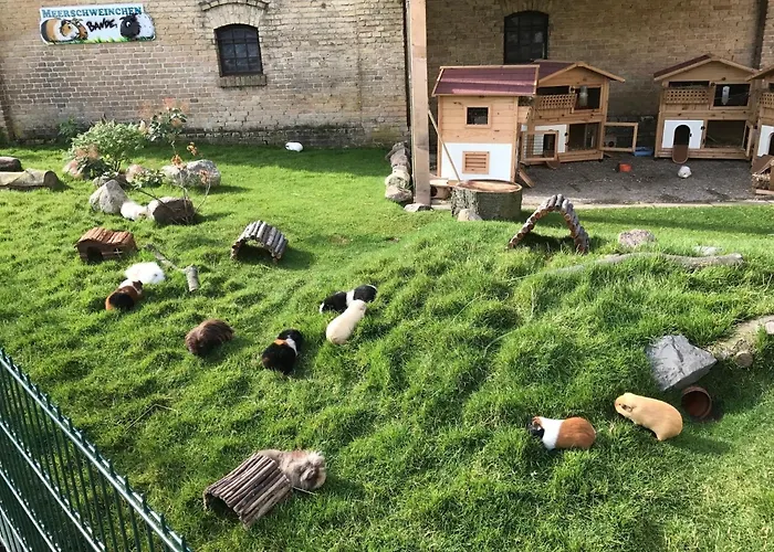 Reetdachhaus 2, Inkl 2 Parkplaetze