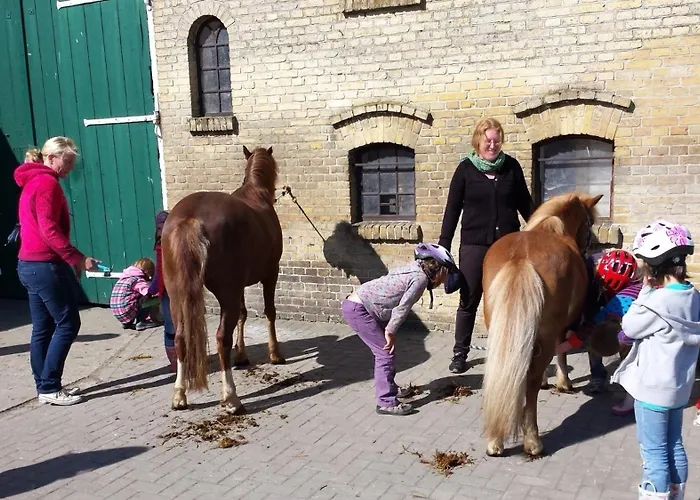 Reetdachhaus 2, Inkl 2 Parkplaetze Casa de Férias Fehmarn