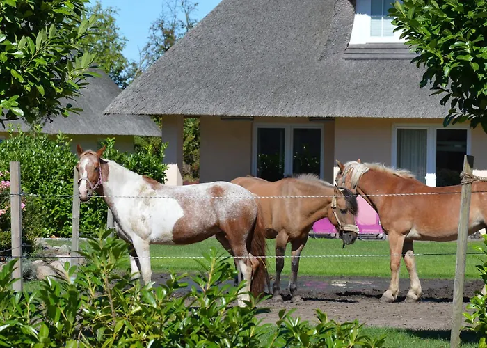 Reetdachhaus 2, Inkl 2 Parkplaetze